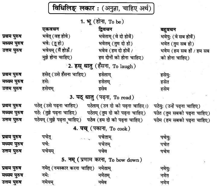 NCERT Solutions for Class 9th Sanskrit Chapter 10 Vidhiliga Lakarah 1