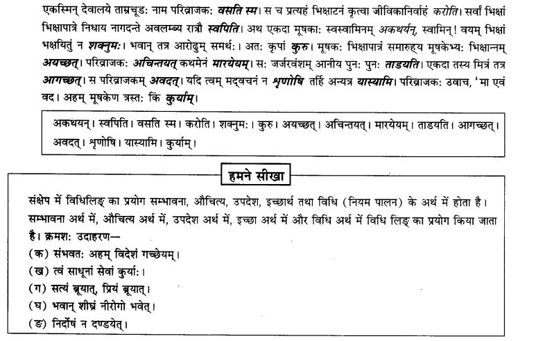 NCERT Solutions for Class 9th Sanskrit Chapter 10 Vidhiliga Lakarah 11