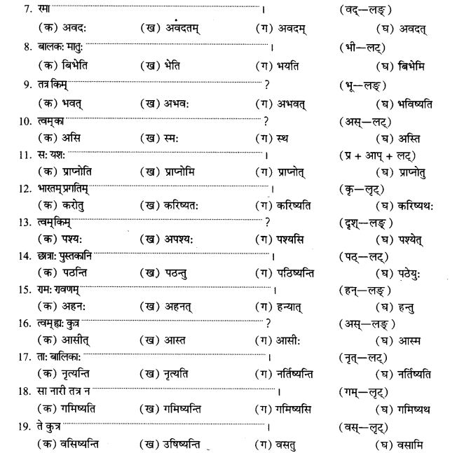 NCERT Solutions for Class 9th Sanskrit Chapter 10 Vidhiliga Lakarah 13