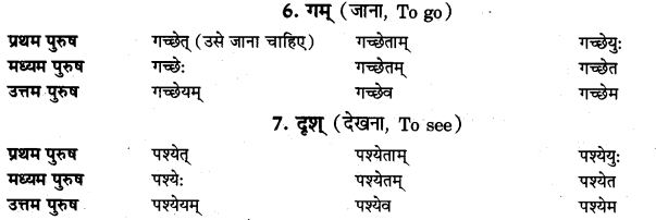 NCERT Solutions for Class 9th Sanskrit Chapter 10 Vidhiliga Lakarah 2
