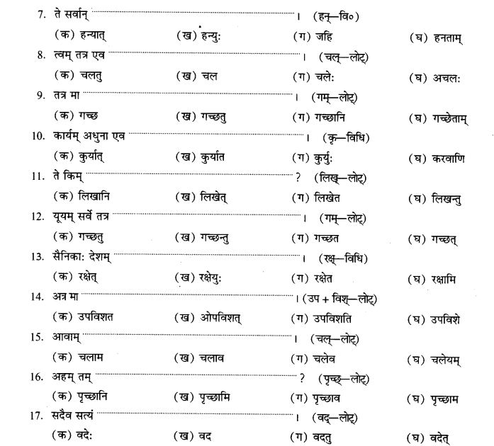 NCERT Solutions for Class 9th Sanskrit Chapter 10 Vidhiliga Lakarah 23