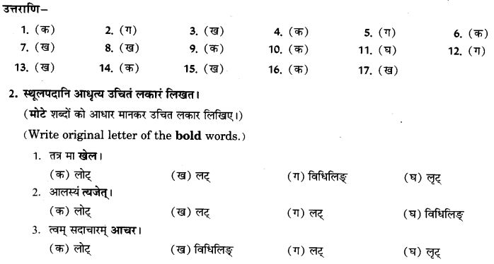 NCERT Solutions for Class 9th Sanskrit Chapter 10 Vidhiliga Lakarah 24