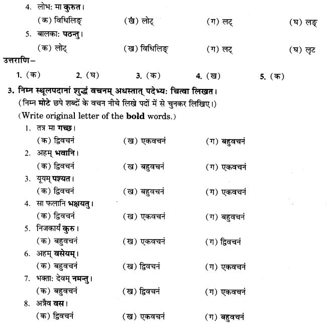 NCERT Solutions for Class 9th Sanskrit Chapter 10 Vidhiliga Lakarah 25