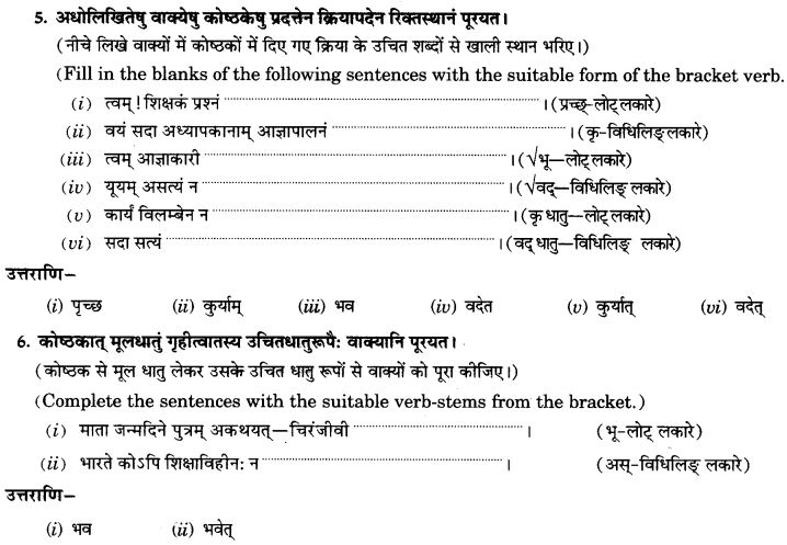 NCERT Solutions for Class 9th Sanskrit Chapter 10 Vidhiliga Lakarah 27