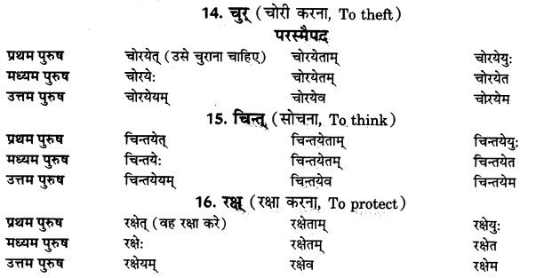 NCERT Solutions for Class 9th Sanskrit Chapter 10 Vidhiliga Lakarah 4