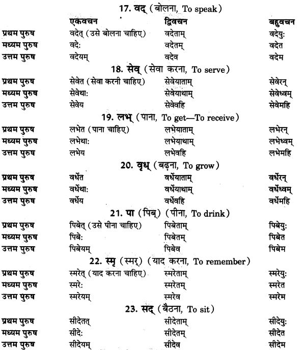 NCERT Solutions for Class 9th Sanskrit Chapter 10 Vidhiliga Lakarah 5