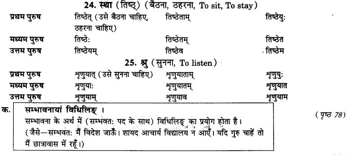 NCERT Solutions for Class 9th Sanskrit Chapter 10 Vidhiliga Lakarah 6