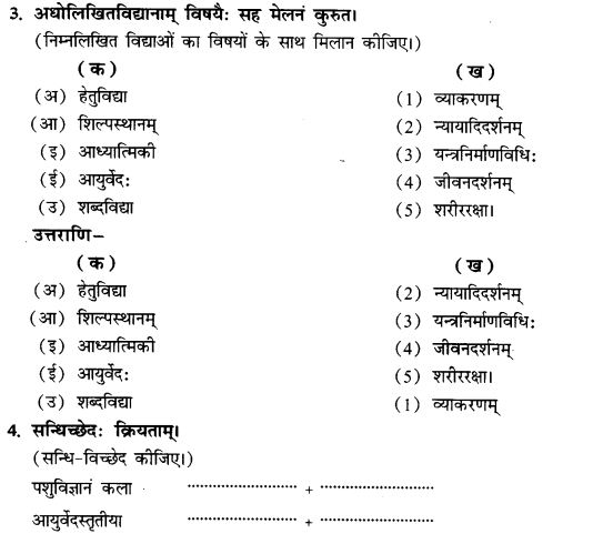 NCERT Solutions for Class 9th Sanskrit Chapter 13 Bharatiyam Vignanam 18