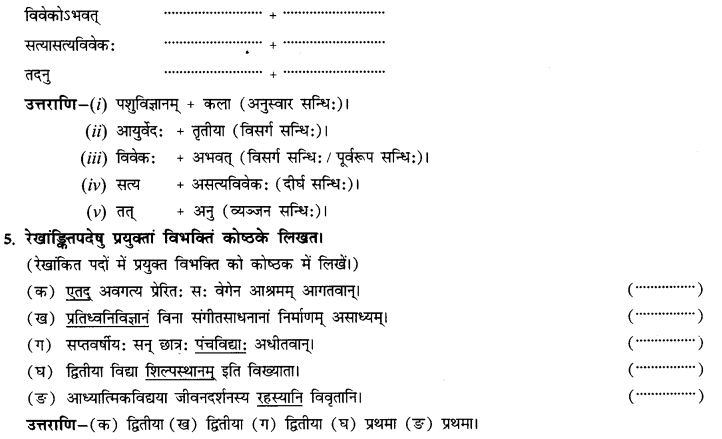 NCERT Solutions for Class 9th Sanskrit Chapter 13 Bharatiyam Vignanam 19