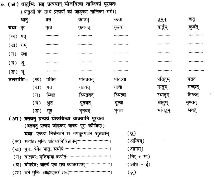 NCERT Solutions for Class 9th Sanskrit Chapter 13 Bharatiyam Vignanam 20