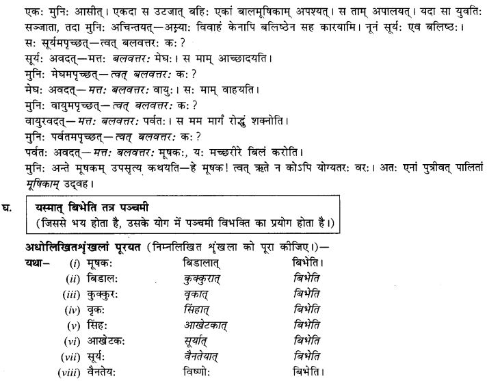 NCERT Solutions for Class 9th Sanskrit Chapter 14 Apadan Karak Prayogah 3