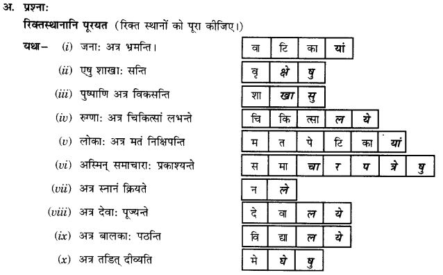 NCERT Solutions for Class 9th Sanskrit Chapter 16 Adhikarana Karak Proyogah 6