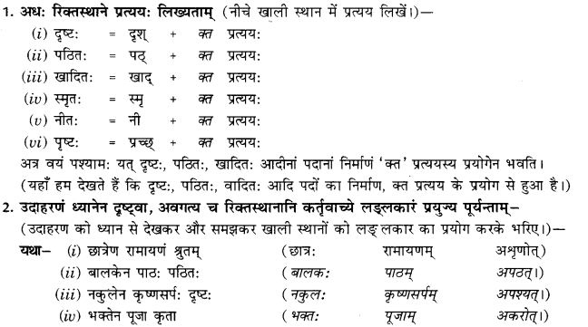 NCERT Solutions for Class 9th Sanskrit Chapter 18 Kt Ktvatu Pratyayoh Prayogah 2