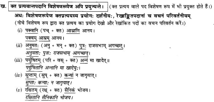 NCERT Solutions for Class 9th Sanskrit Chapter 18 Kt Ktvatu Pratyayoh Prayogah 6