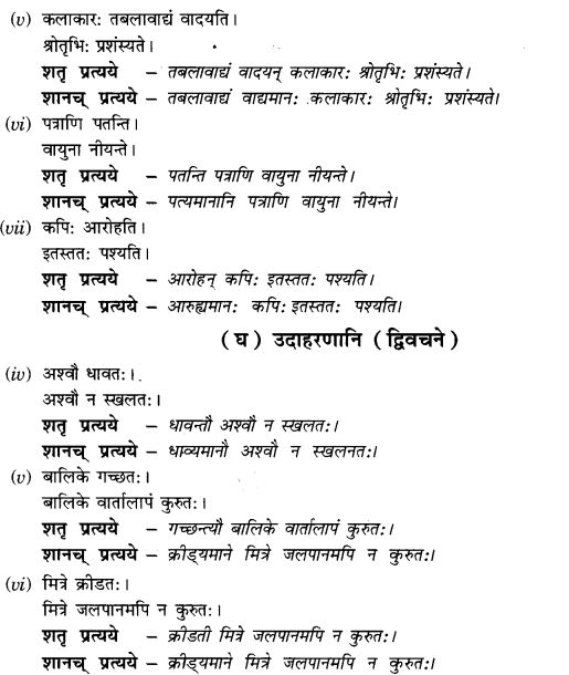 NCERT Solutions for Class 9th Sanskrit Chapter 19 Shatr Shanach Pratyayoh Prayogah 3