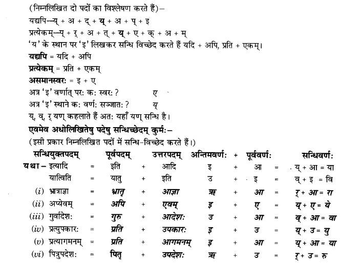 NCERT Solutions for Class 9th Sanskrit Chapter 2 Sandhiha Prakaranam Swarasandhiha 8