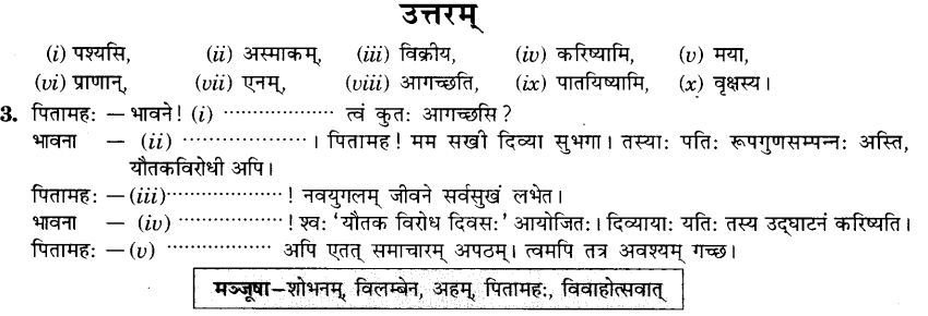 NCERT Solutions for Class 9th Sanskrit Chapter 2 सङ्केताधारितः वार्तालापः 2