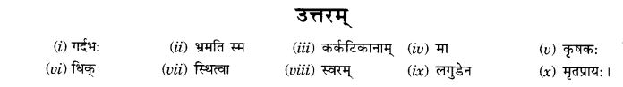 NCERT Solutions for Class 9th Sanskrit Chapter 3 सङ्केताधारितः लघुकथाः 6