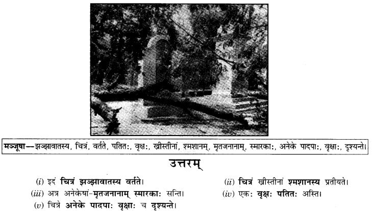 NCERT Solutions for Class 9th Sanskrit Chapter 4 चित्राधारितम् वर्णनम् 7