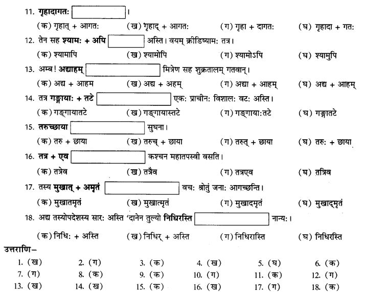 NCERT Solutions for Class 9th Sanskrit Chapter 4 Visargsandhih 16