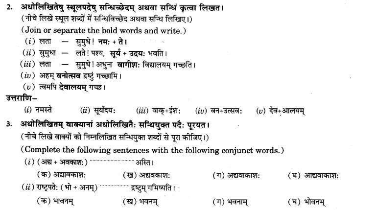 NCERT Solutions for Class 9th Sanskrit Chapter 4 Visargsandhih 17