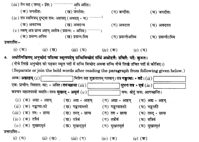 NCERT Solutions for Class 9th Sanskrit Chapter 4 Visargsandhih 18