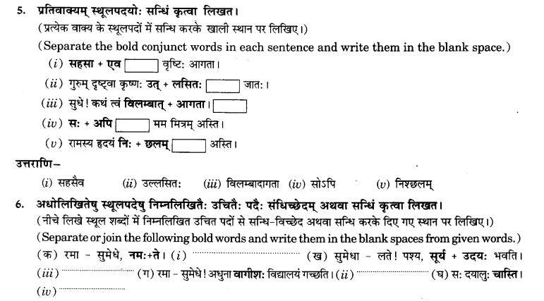 NCERT Solutions for Class 9th Sanskrit Chapter 4 Visargsandhih 19