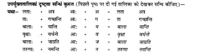 NCERT Solutions for Class 9th Sanskrit Chapter 4 Visargsandhih 5