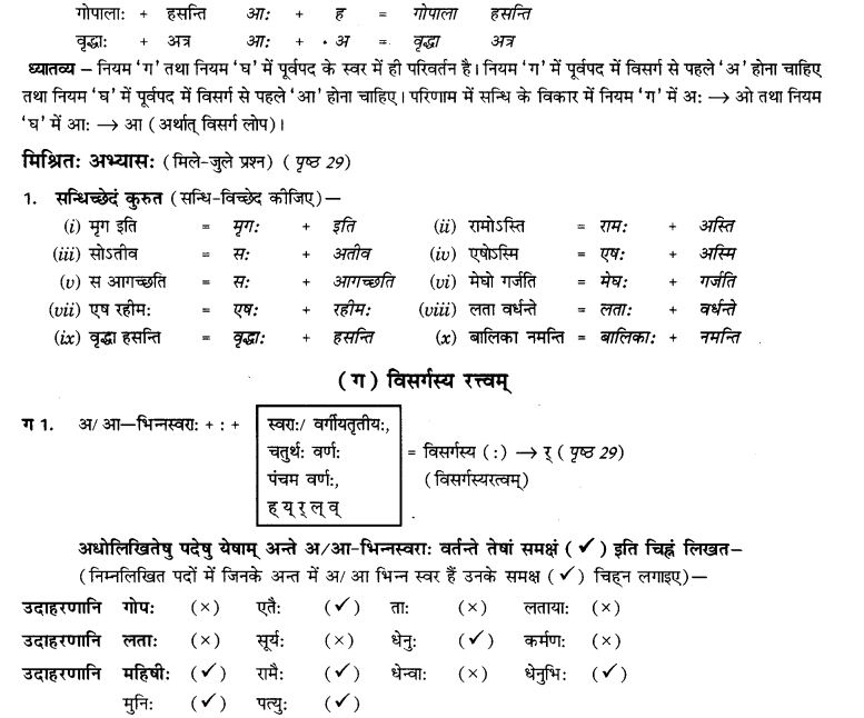 NCERT Solutions for Class 9th Sanskrit Chapter 4 Visargsandhih 6