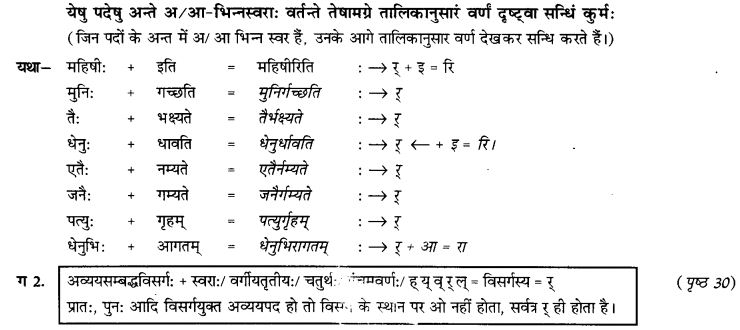 NCERT Solutions for Class 9th Sanskrit Chapter 4 Visargsandhih 7