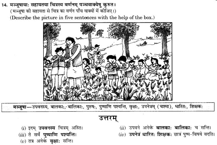 NCERT Solutions for Class 9th Sanskrit Chapter 4 चित्राधारितम् वर्णनम् 15