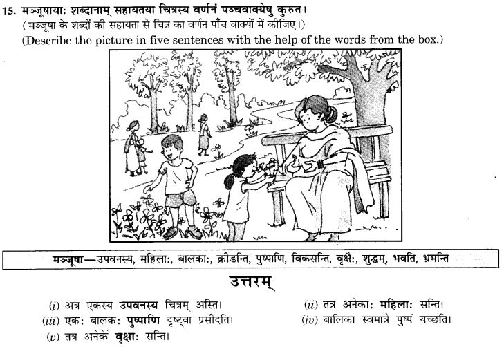 NCERT Solutions for Class 9th Sanskrit Chapter 4 चित्राधारितम् वर्णनम् 16