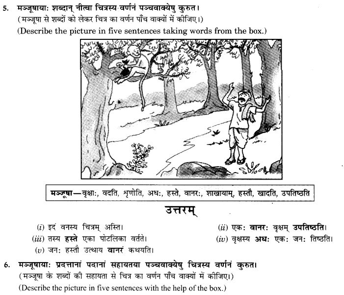 NCERT Solutions for Class 9th Sanskrit Chapter 4 चित्राधारितम् वर्णनम् 6