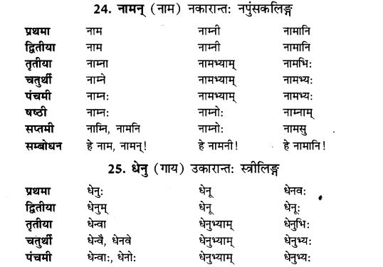 NCERT Solutions for Class 9th Sanskrit Chapter 5 Anathsabdhah, Halanthsabdah, Sarvnamsabdah, Sankhyavachansabdah 11