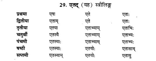 NCERT Solutions for Class 9th Sanskrit Chapter 5 Anathsabdhah, Halanthsabdah, Sarvnamsabdah, Sankhyavachansabdah 13