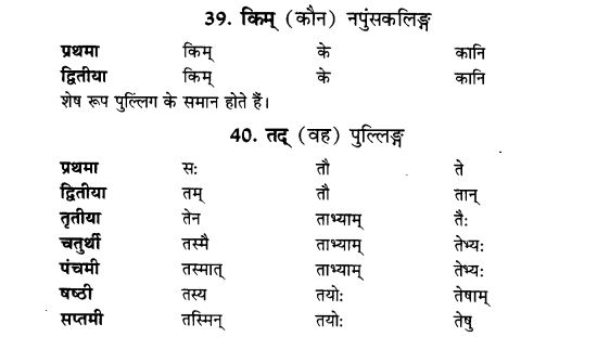 NCERT Solutions for Class 9th Sanskrit Chapter 5 Anathsabdhah, Halanthsabdah, Sarvnamsabdah, Sankhyavachansabdah 17