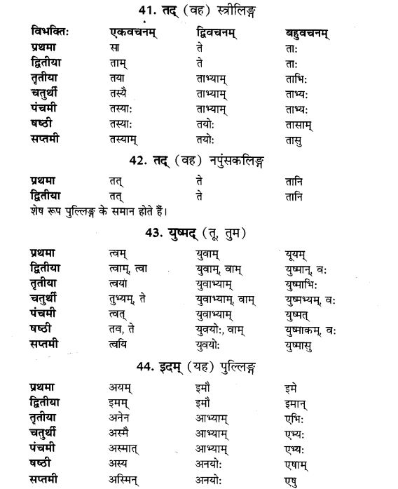 NCERT Solutions for Class 9th Sanskrit Chapter 5 Anathsabdhah, Halanthsabdah, Sarvnamsabdah, Sankhyavachansabdah 18