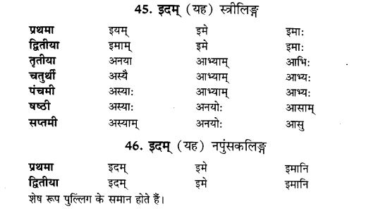 NCERT Solutions for Class 9th Sanskrit Chapter 5 Anathsabdhah, Halanthsabdah, Sarvnamsabdah, Sankhyavachansabdah 19