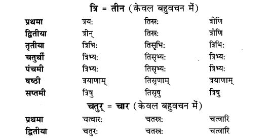 NCERT Solutions for Class 9th Sanskrit Chapter 5 Anathsabdhah, Halanthsabdah, Sarvnamsabdah, Sankhyavachansabdah 21