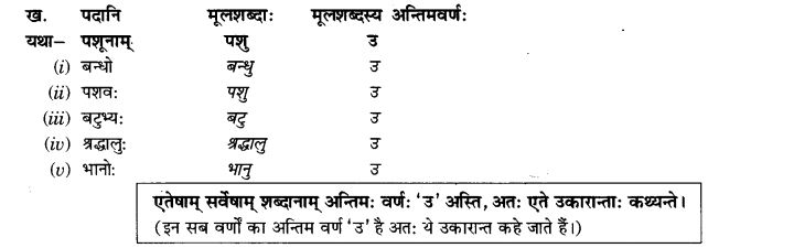 NCERT Solutions for Class 9th Sanskrit Chapter 5 Anathsabdhah, Halanthsabdah, Sarvnamsabdah, Sankhyavachansabdah 25