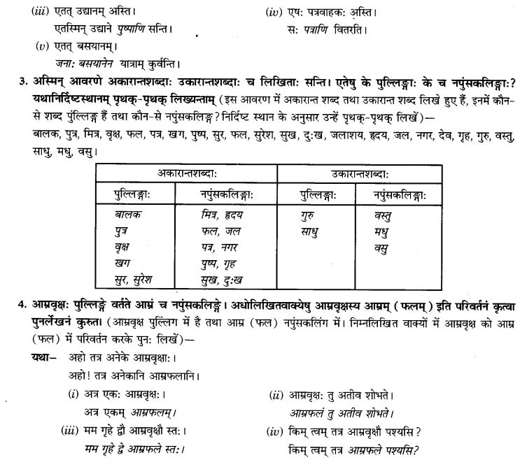 NCERT Solutions for Class 9th Sanskrit Chapter 5 Anathsabdhah, Halanthsabdah, Sarvnamsabdah, Sankhyavachansabdah 40