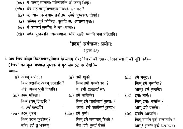 NCERT Solutions for Class 9th Sanskrit Chapter 5 Anathsabdhah, Halanthsabdah, Sarvnamsabdah, Sankhyavachansabdah 46