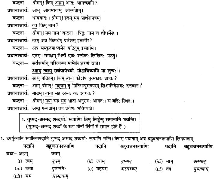 NCERT Solutions for Class 9th Sanskrit Chapter 5 Anathsabdhah, Halanthsabdah, Sarvnamsabdah, Sankhyavachansabdah 48