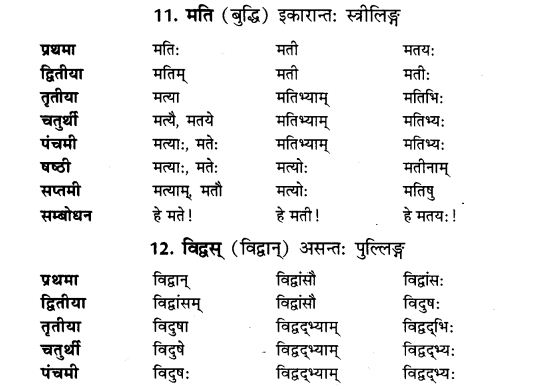 NCERT Solutions for Class 9th Sanskrit Chapter 5 Anathsabdhah, Halanthsabdah, Sarvnamsabdah, Sankhyavachansabdah 5