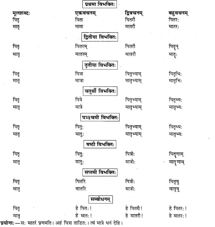 NCERT Solutions for Class 9th Sanskrit Chapter 5 Anathsabdhah, Halanthsabdah, Sarvnamsabdah, Sankhyavachansabdah 51