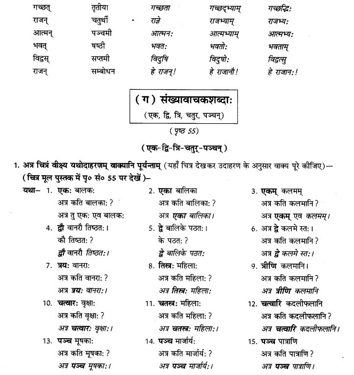 NCERT Solutions for Class 9th Sanskrit Chapter 5 Anathsabdhah, Halanthsabdah, Sarvnamsabdah, Sankhyavachansabdah 56