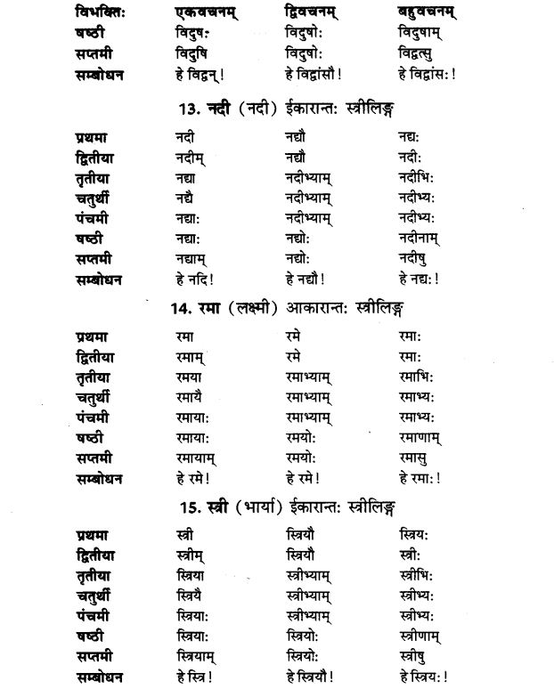 NCERT Solutions for Class 9th Sanskrit Chapter 5 Anathsabdhah, Halanthsabdah, Sarvnamsabdah, Sankhyavachansabdah 6