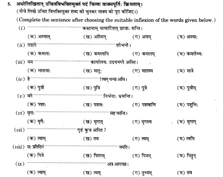 NCERT Solutions for Class 9th Sanskrit Chapter 5 Anathsabdhah, Halanthsabdah, Sarvnamsabdah, Sankhyavachansabdah 65