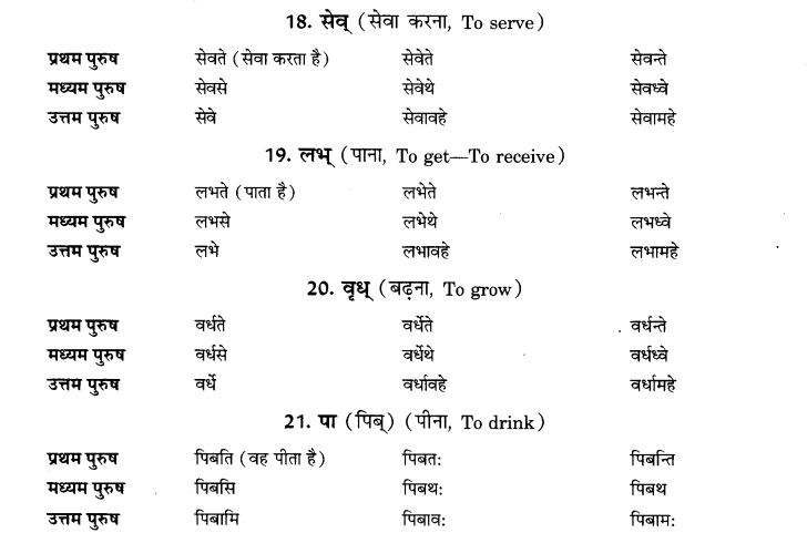 NCERT Solutions for Class 9th Sanskrit Chapter 6 Varthmankalah 5