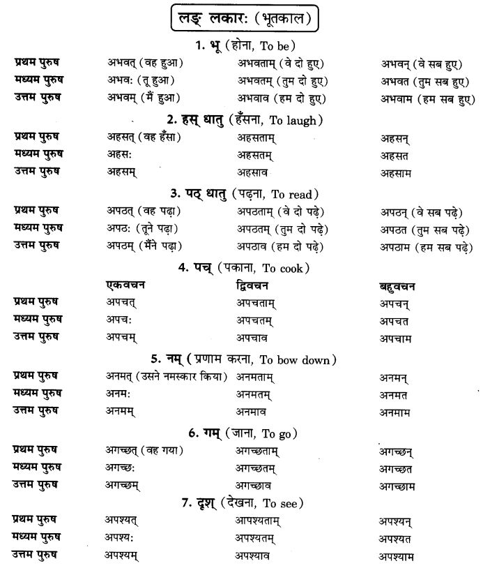 NCERT Solutions for Class 9th Sanskrit Chapter 7 Bhutakalah 1